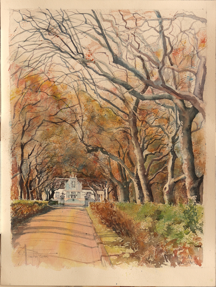 “Die Laan” leading up to the Manor House at Lanzerac