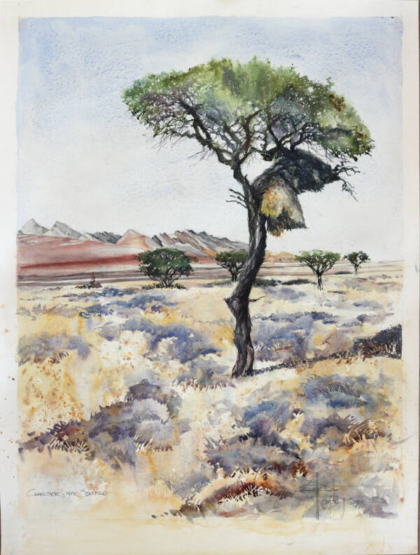 Watercolour of Namib