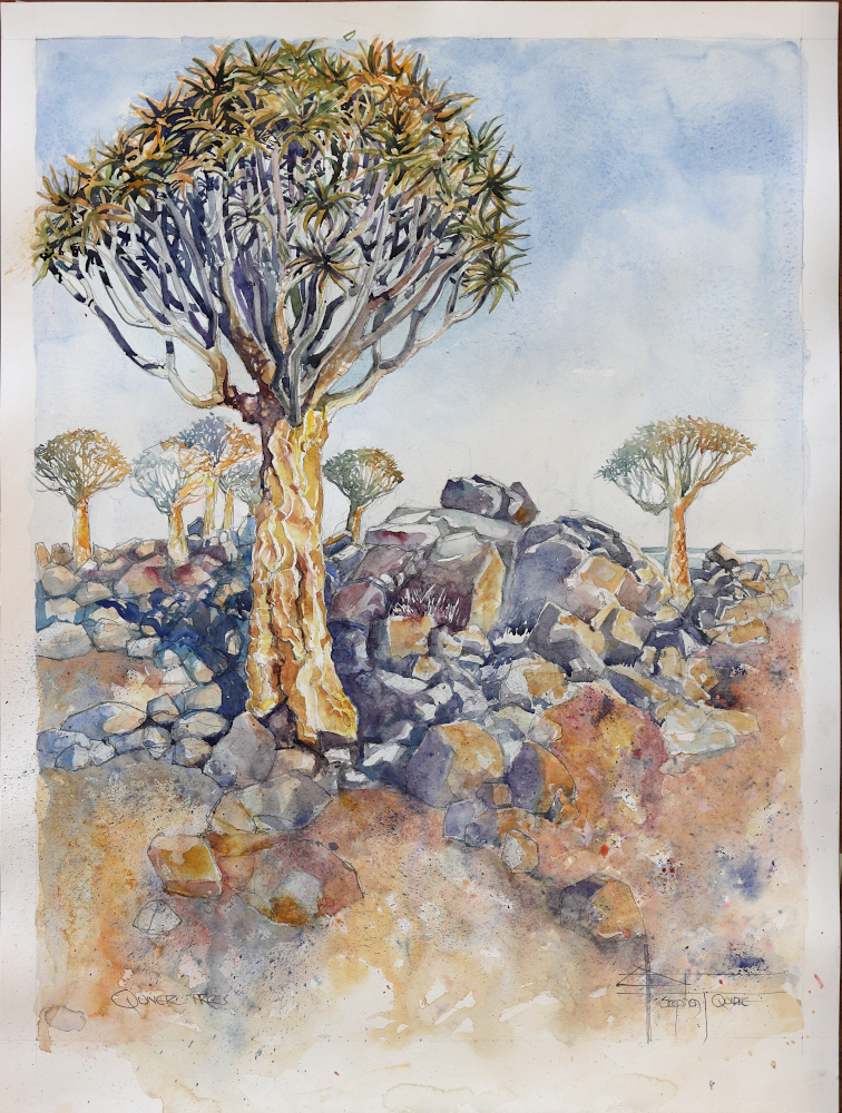 watercolour of namib