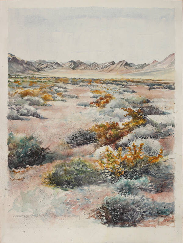 Namib watercolour
